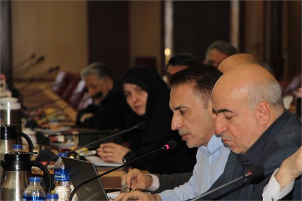 جلسه 217 کمیسیون دایمی