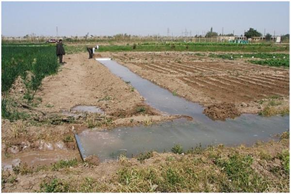 National Mega Project of Turning Salty Ground Water into Drinking Water with Agricultural, and Industrial Usage in The Fifth Research and Technology Exhibition