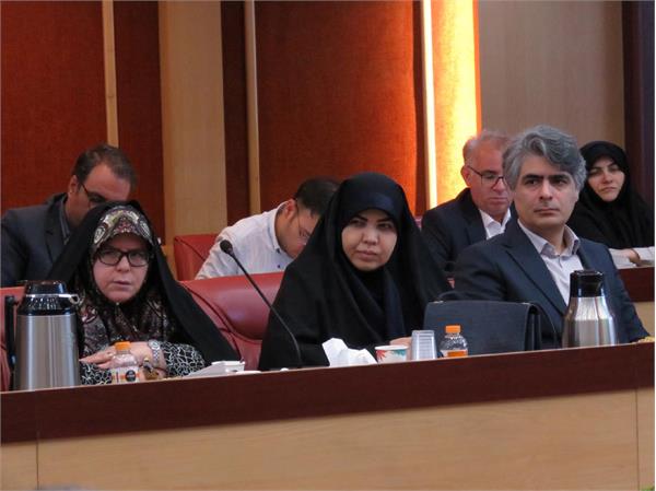 جلسه 223 کمیسیون دایمی